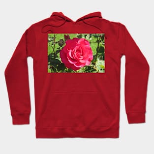 Red Rose Hoodie